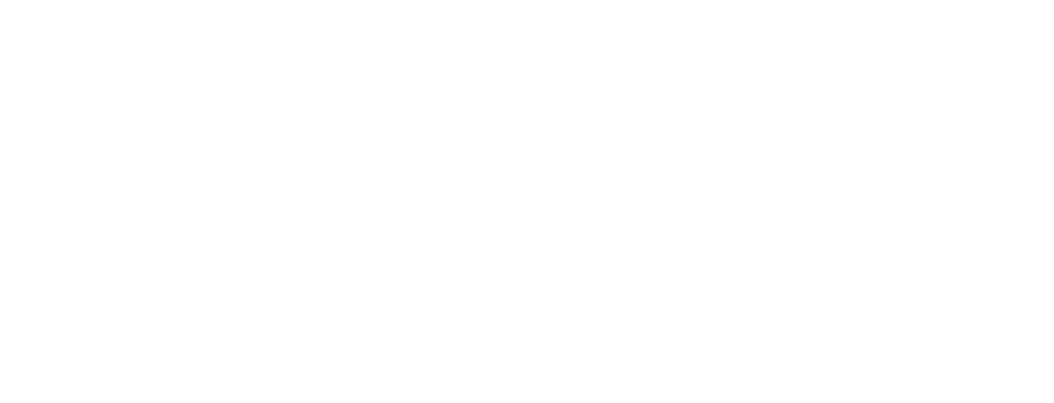 Payment Terms Are Net 30 Days From Date Of Invoice